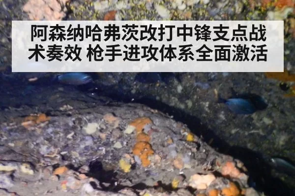 阿森纳哈弗茨改打中锋支点战术奏效 枪手进攻体系全面激活