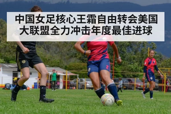 中国女足核心王霜自由转会美国大联盟全力冲击年度最佳进球
