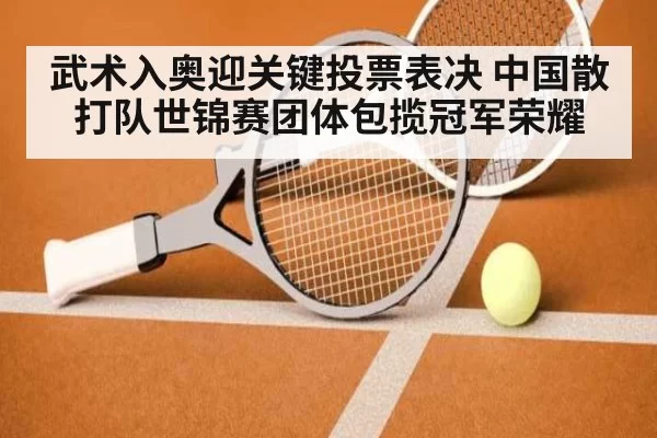 武术入奥迎关键投票表决 中国散打队世锦赛团体包揽冠军荣耀